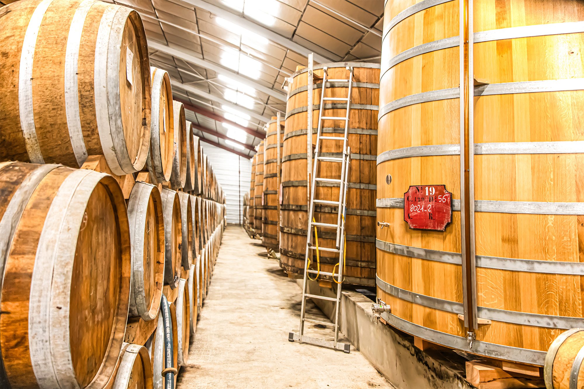 16 Foudres et barriques 1bis 241123.jpg