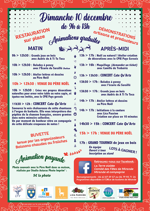 affiche marche noel mirande ok.jpg