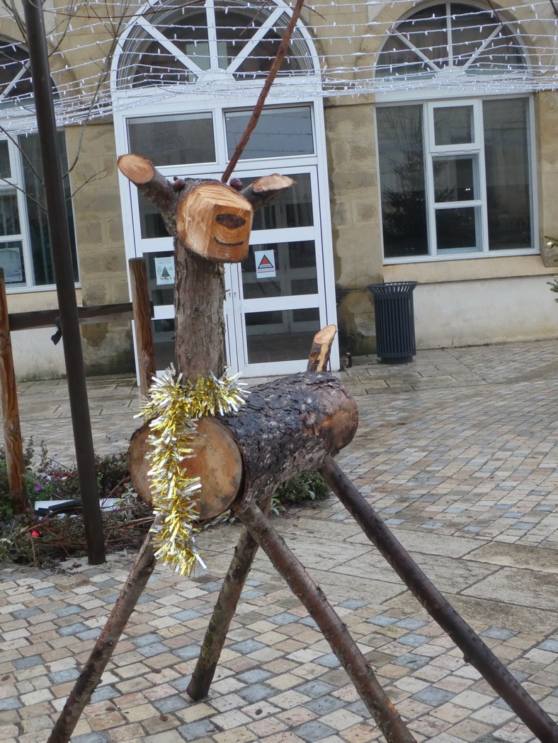 Et voilà un beau renne