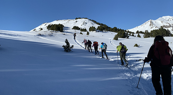 marmotte 120223.jpg