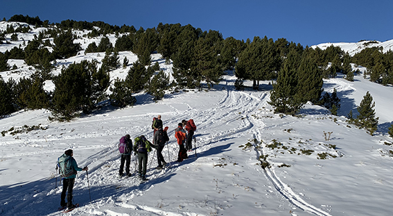 marmotte raquette 2012235.jpg