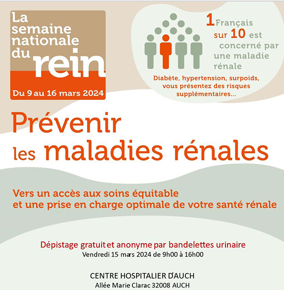 rein affiche.JPG