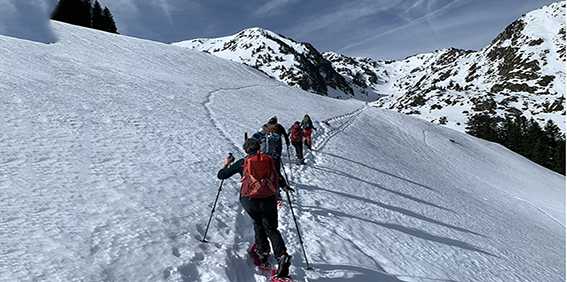 marmotte mars 182.jpg