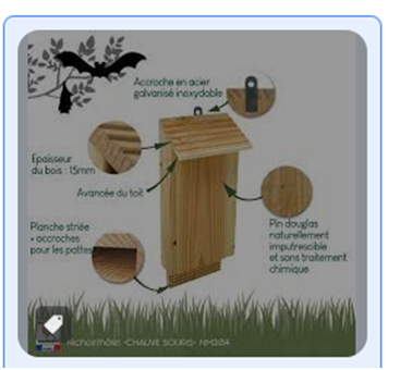 Construire un nichoir à chauve-souris