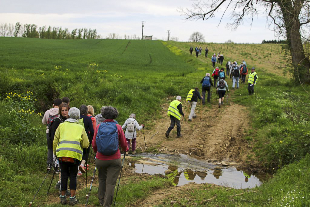 Les sentiers en fôret de Berdoues