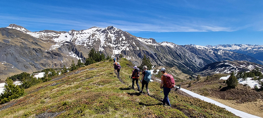 marmotte 1642.jpg