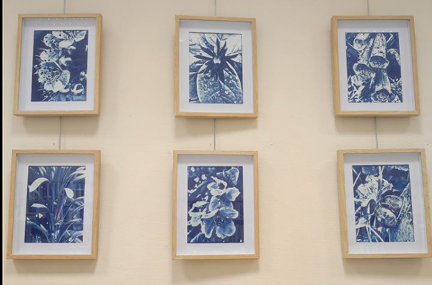 condom mediatheque bleu 1.JPG
