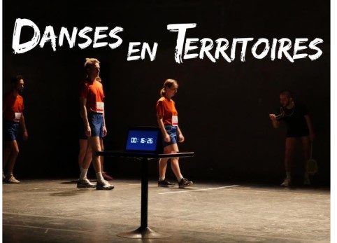 danses en territoire 1.jpg