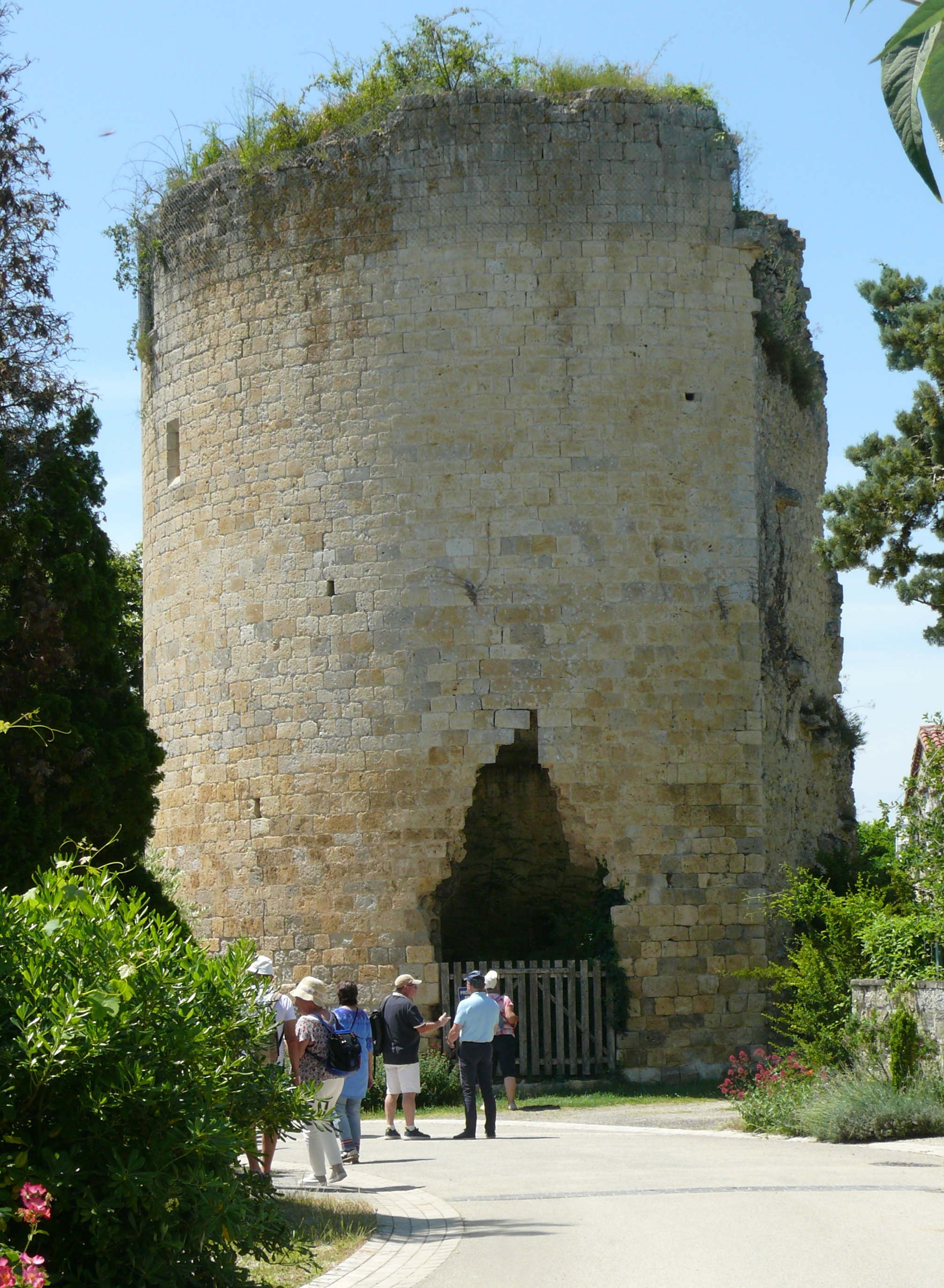 Ancienne tour duchâteau de Castelnau sur l'Auvignon.