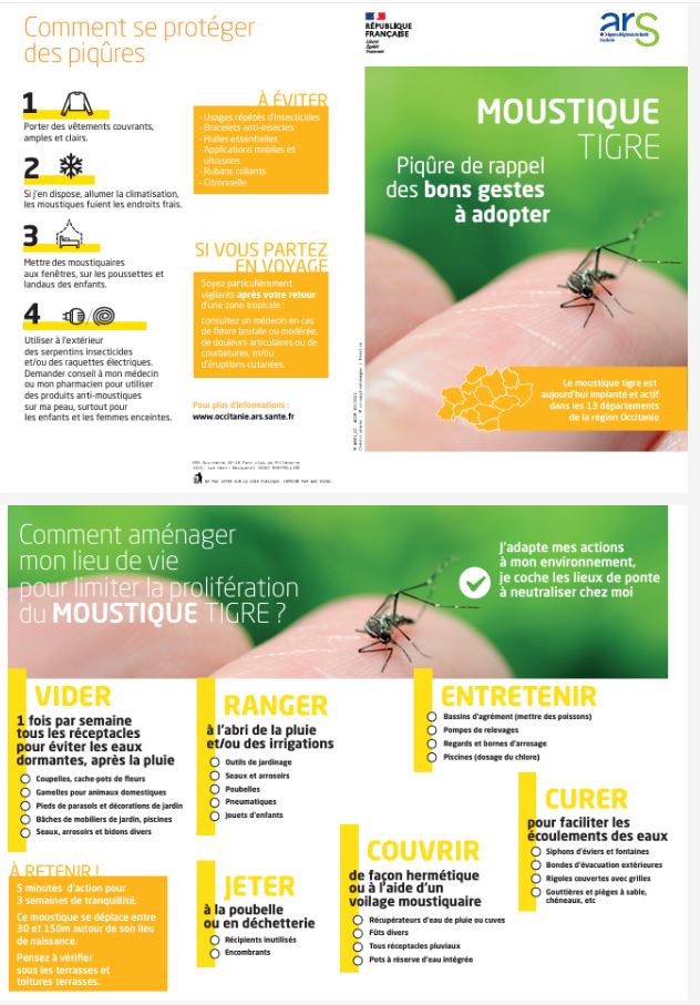 moustique ars flyers.JPG