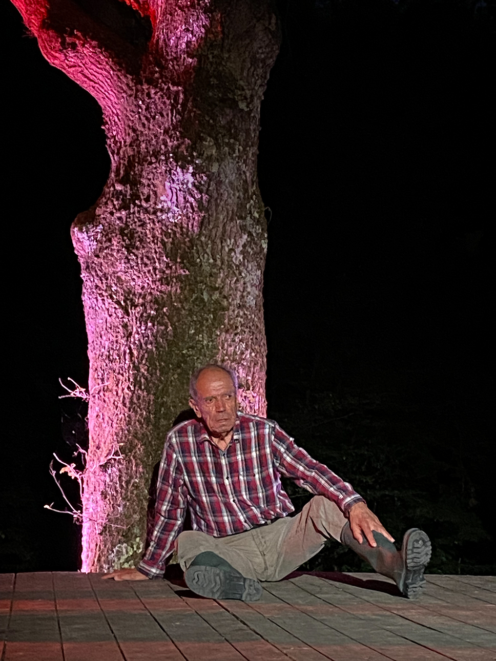 Michel dévasté, au pied d'un vieux chêne
