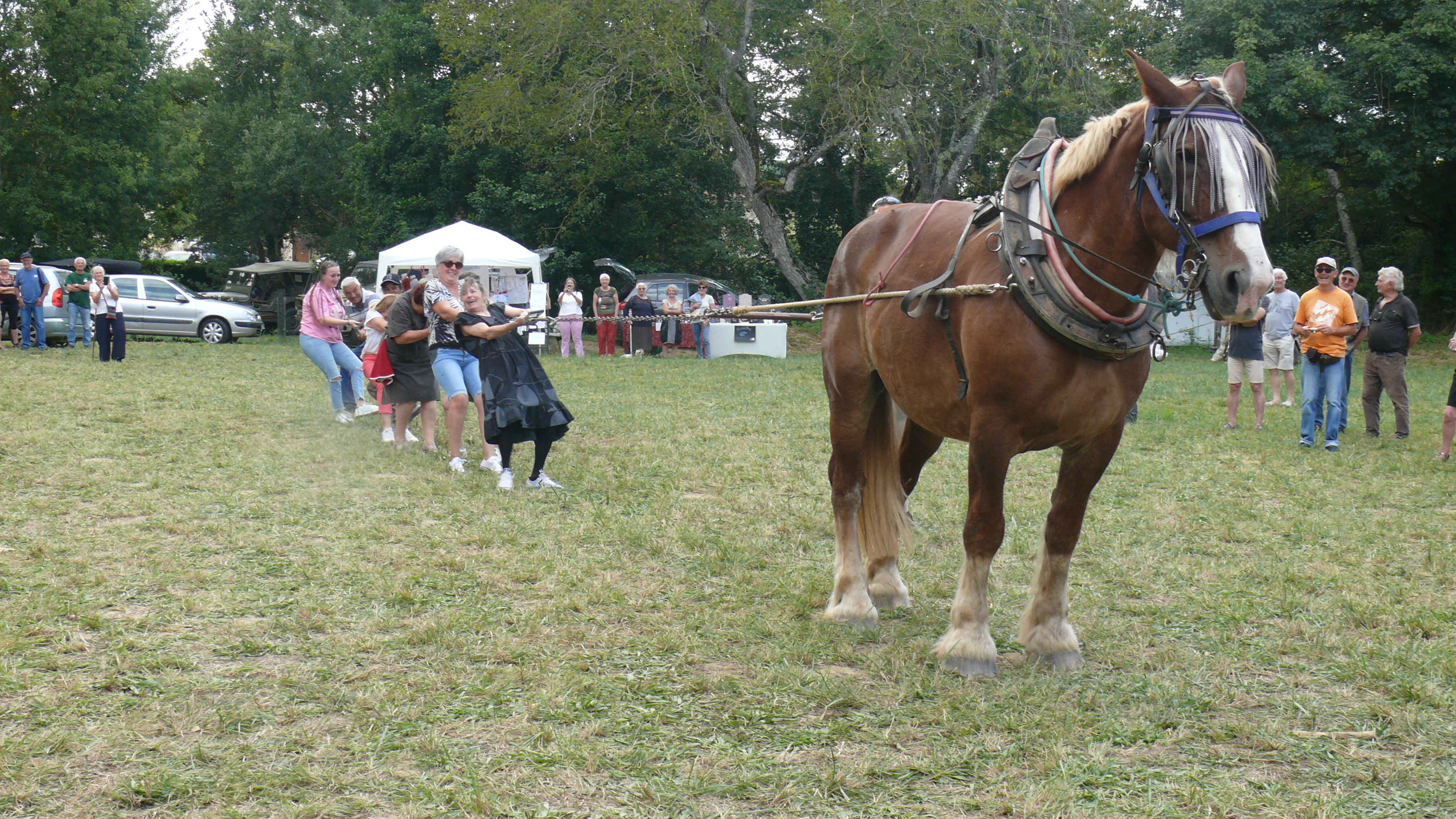 Tir à la corde.