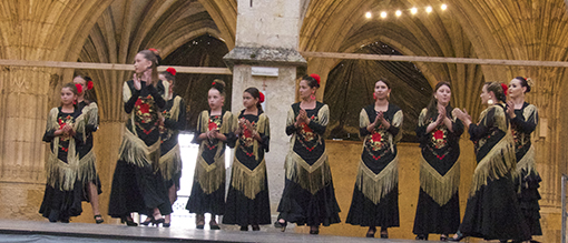 condom flamenco 987.jpg