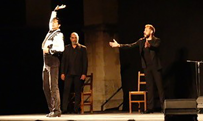 flamenco 123.jpg