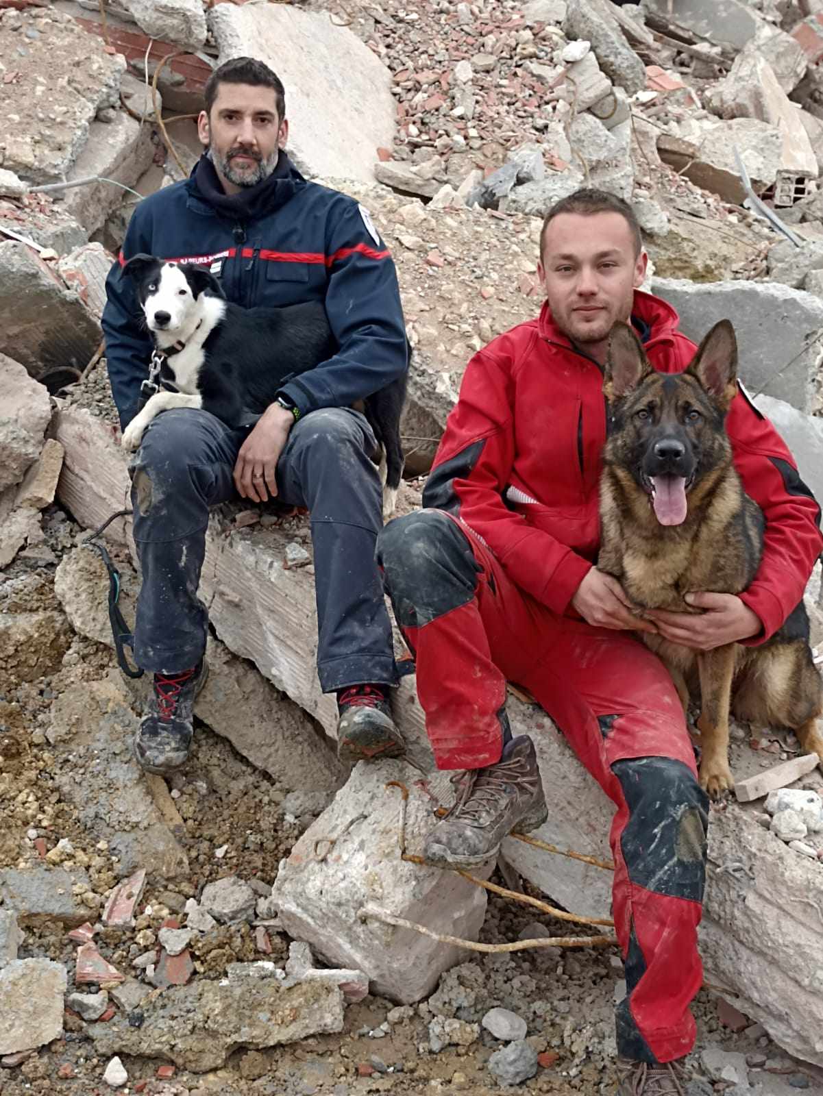 pompiers chiens 1.jpg