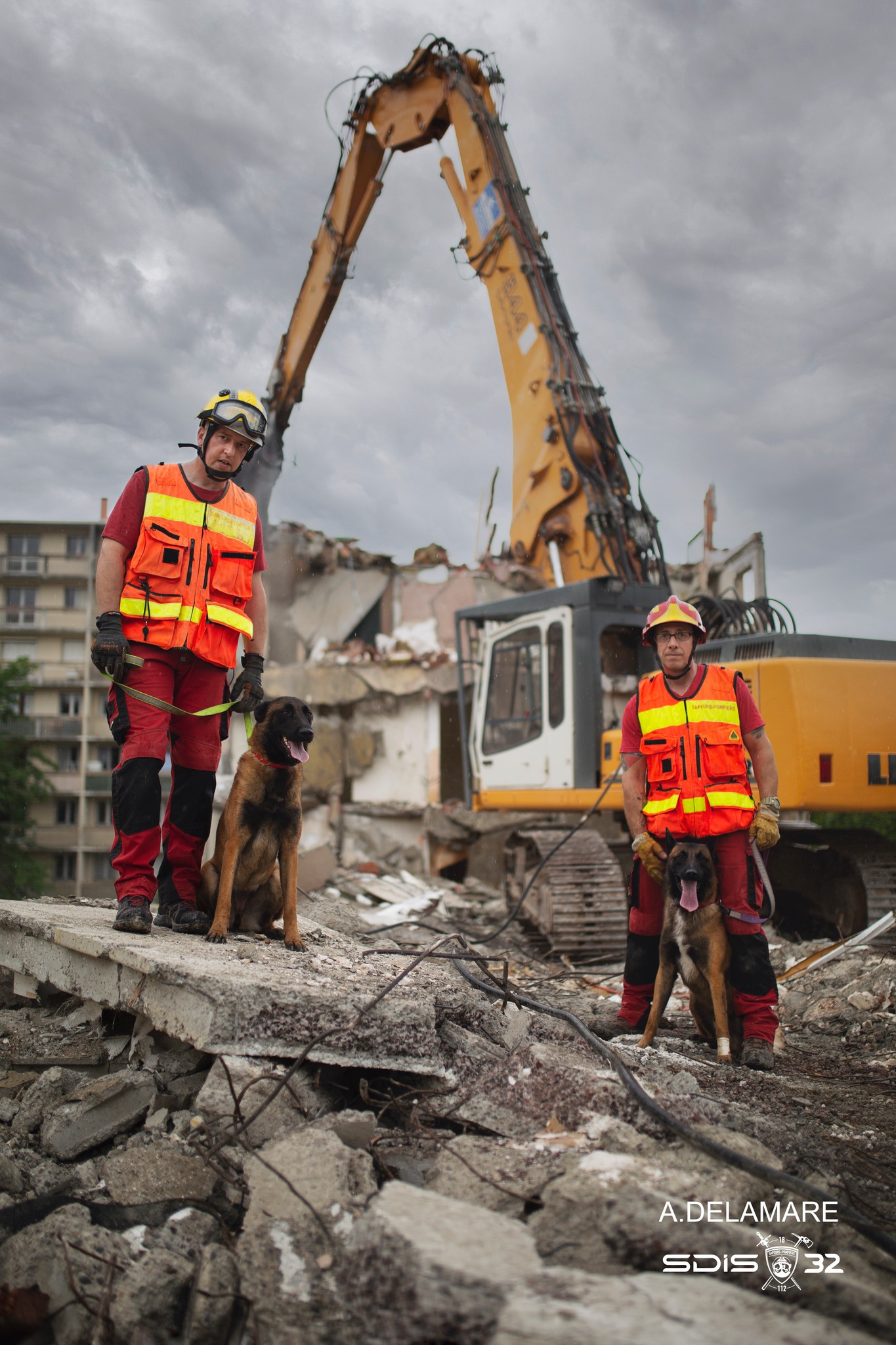 pompiers chiens 3.jpg