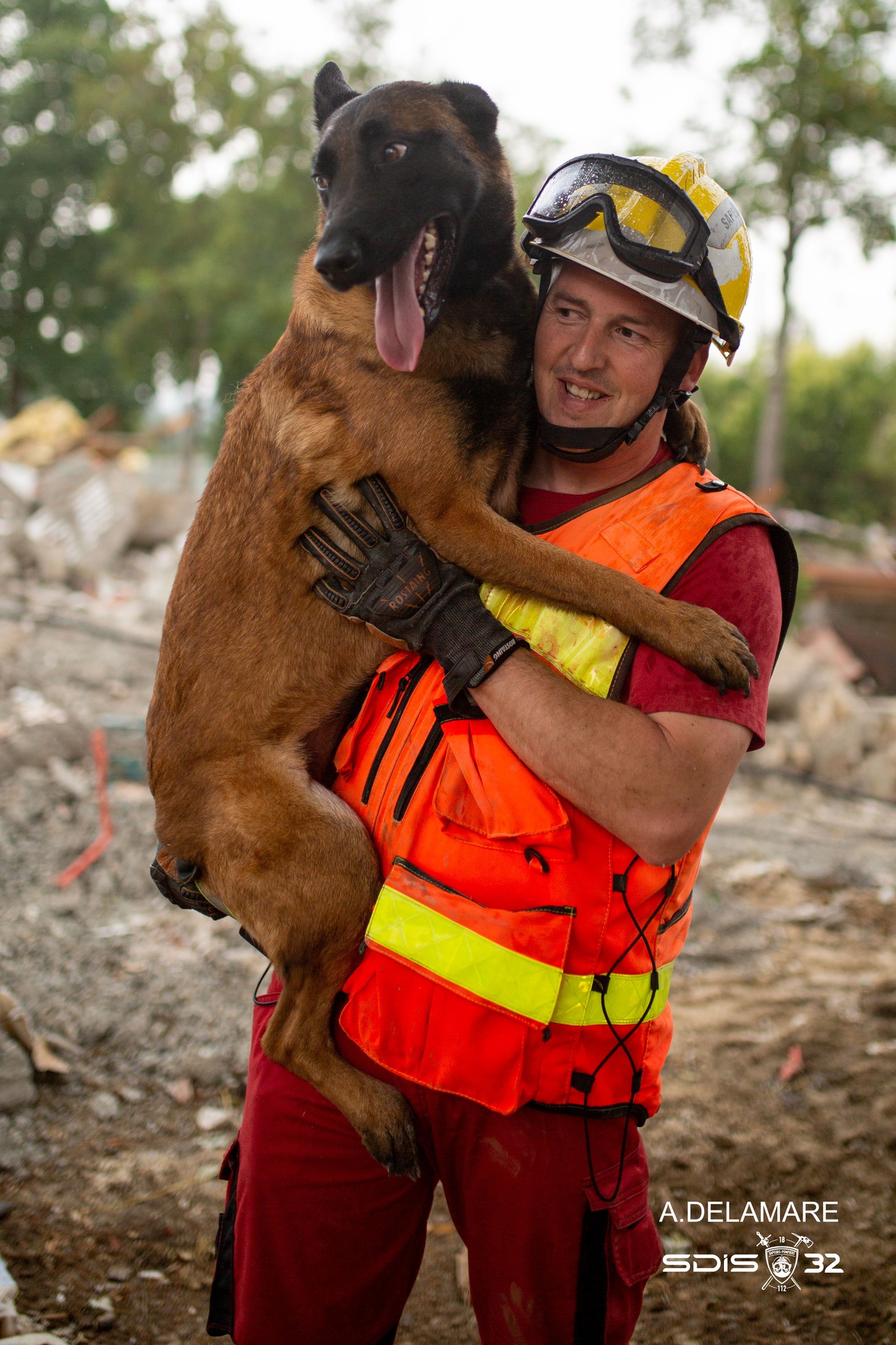 pompier chiens 2.jpg