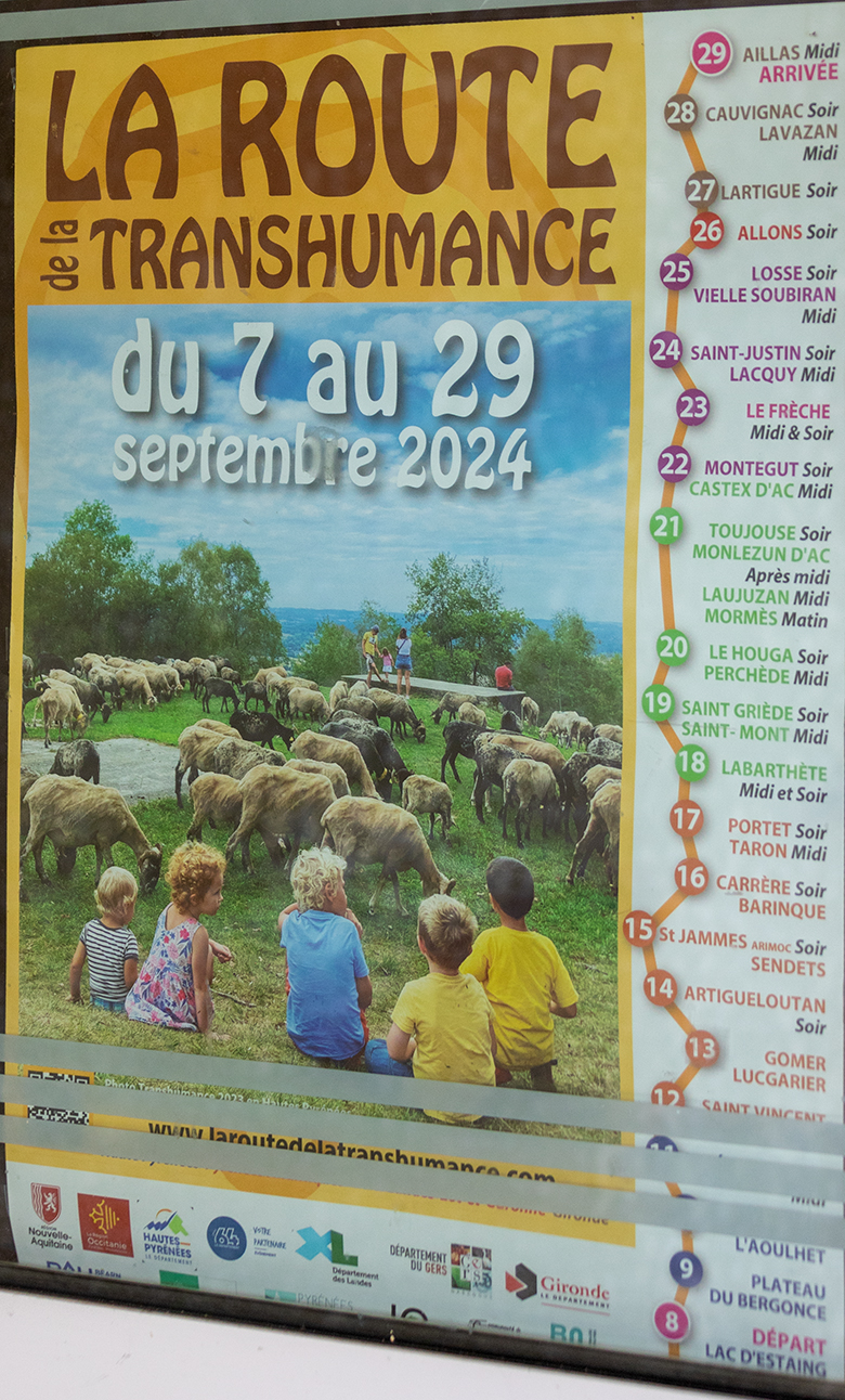 la route de la transhumance