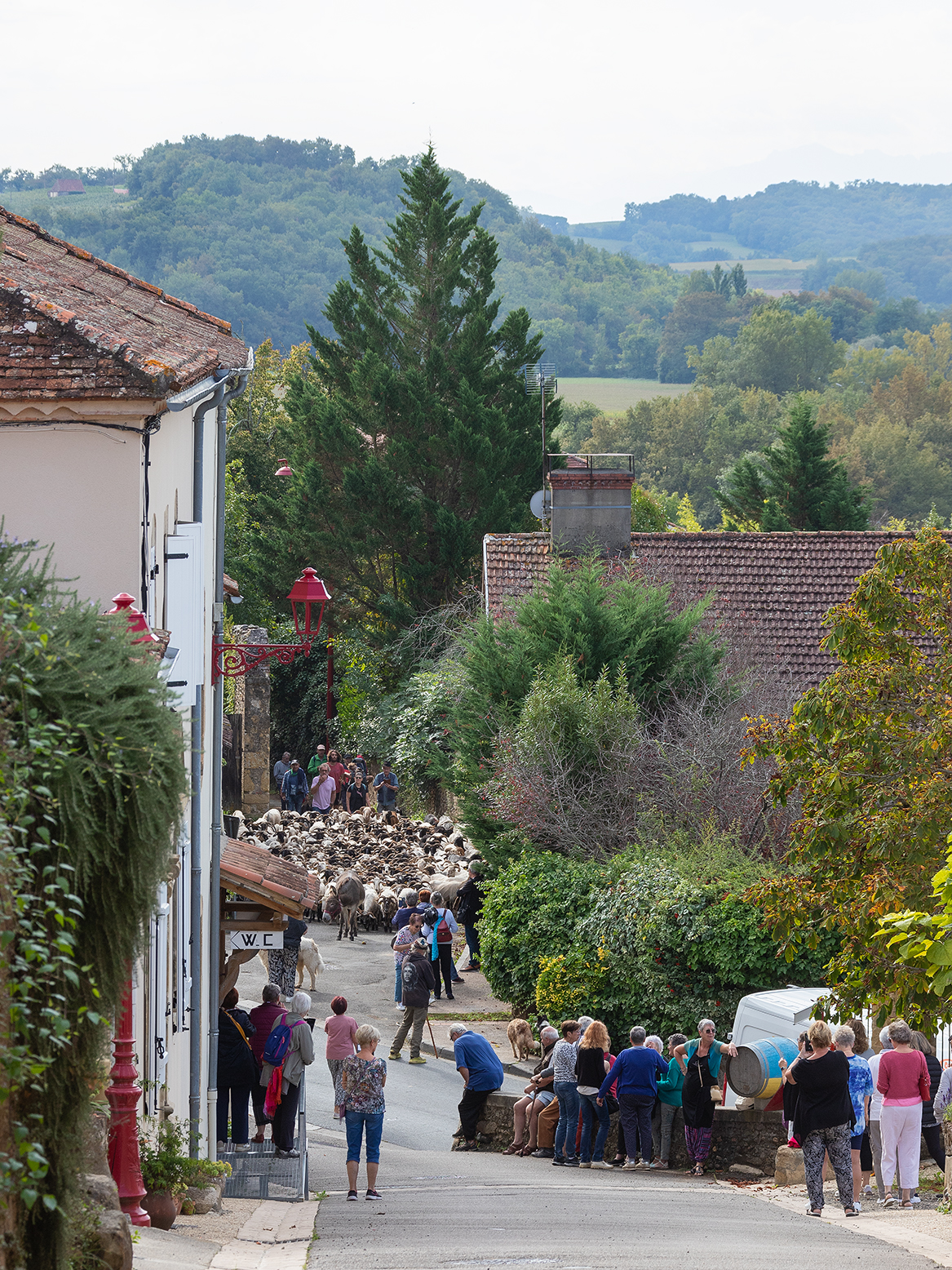 les spectateurs au bord du chemin
