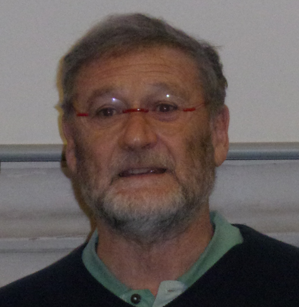 Dominique