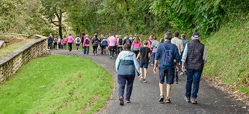 lectoure marche rose 6.jpg