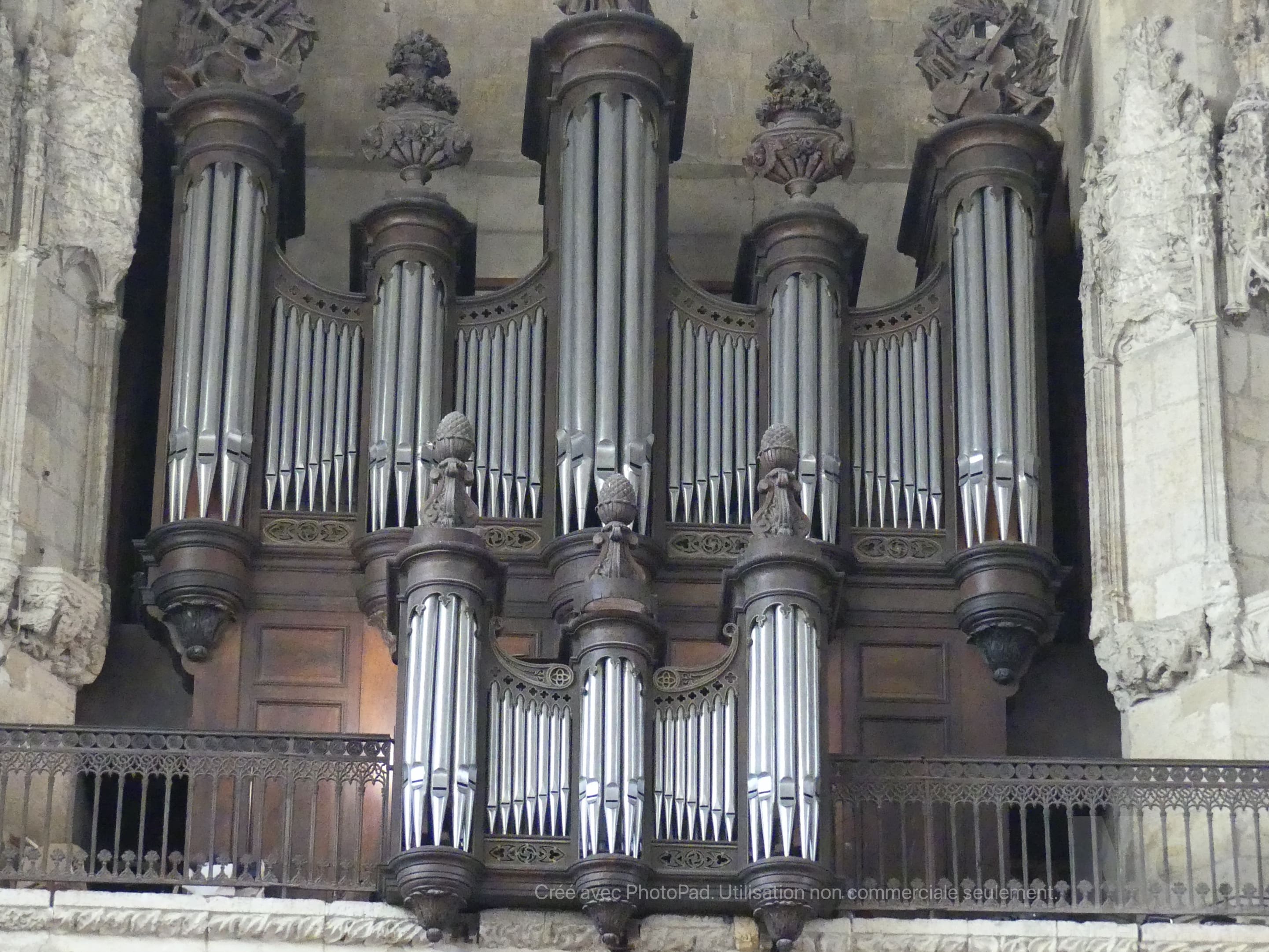 P1090724.jpg