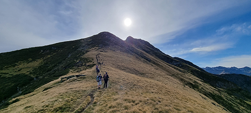 marmotte montaigu  1.jpg