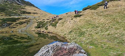 marmotte montaigu  12.jpg