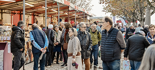 lectoure foire photo 17.jpg