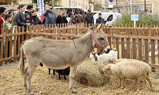 lectoure foire photo 121.jpg