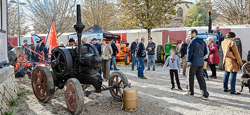 lectoure foire photo 13.jpg