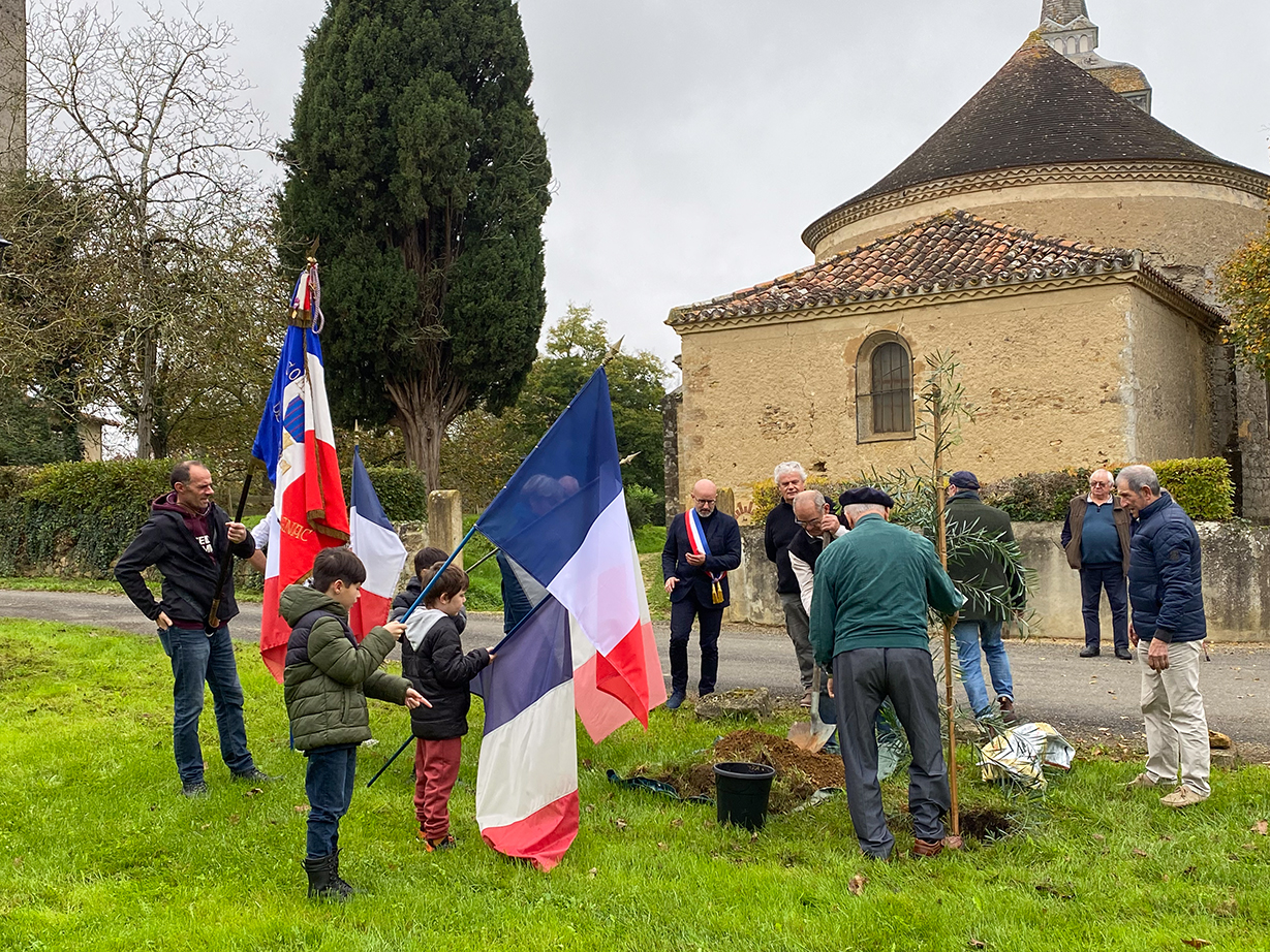 la plantation de l'arbre de la paix
