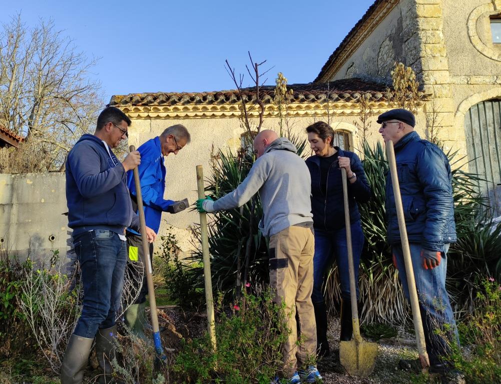 Surtout bien réfléchir avant d'enfouir les racines !