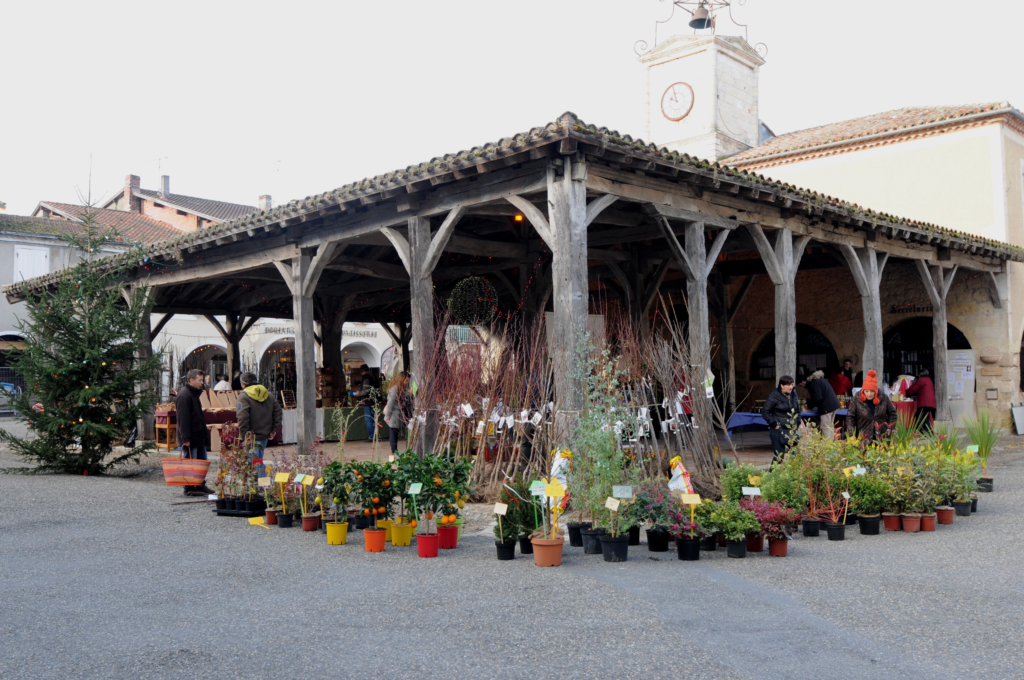 marché de noël Patrick Dehan (1).JPG