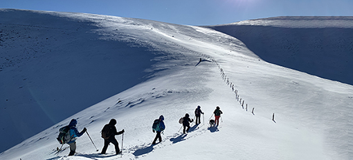 montagne marmotte IMG_5065 (002).jpg