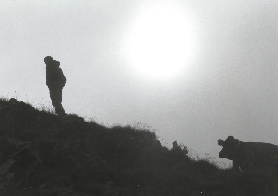 Exposition photos de Philippe Bourrette