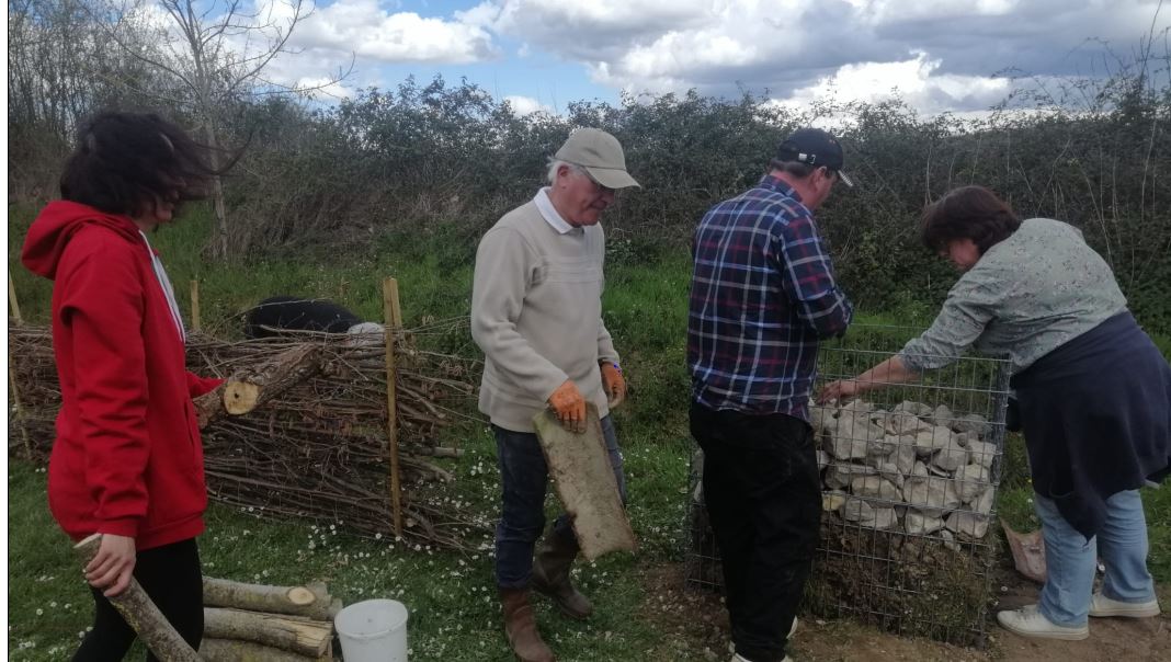 st medard gabion.JPG
