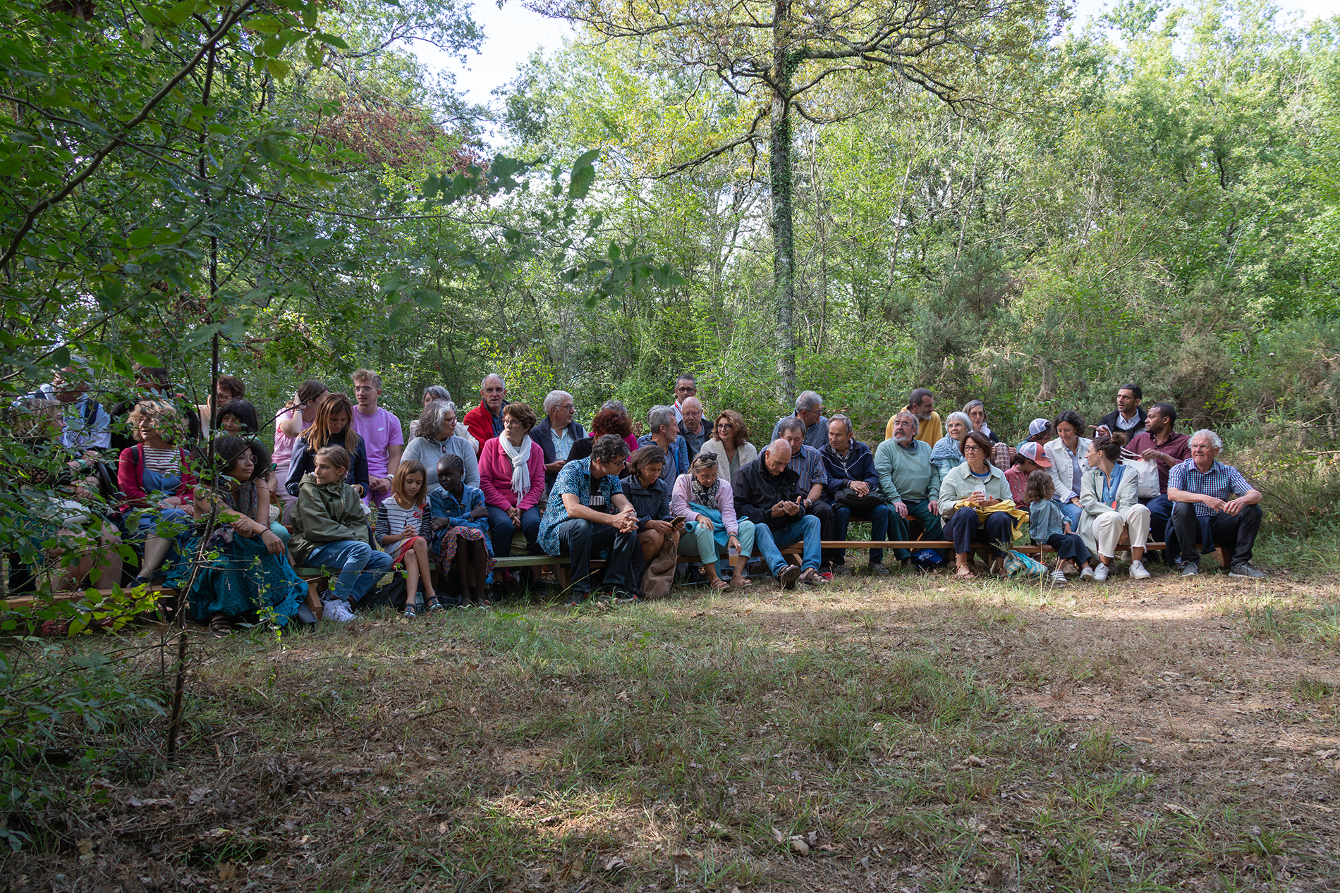 spectacle au cœur de la forêt