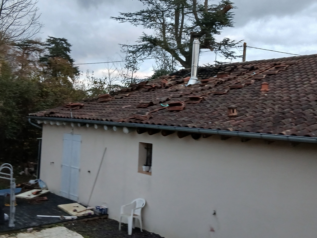 20251121_171423.jpg