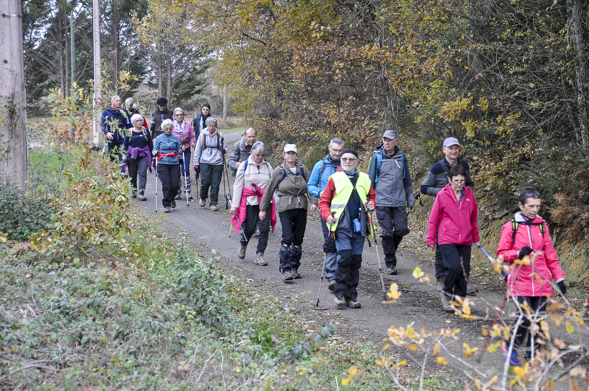 Sur les chemins de campagne.