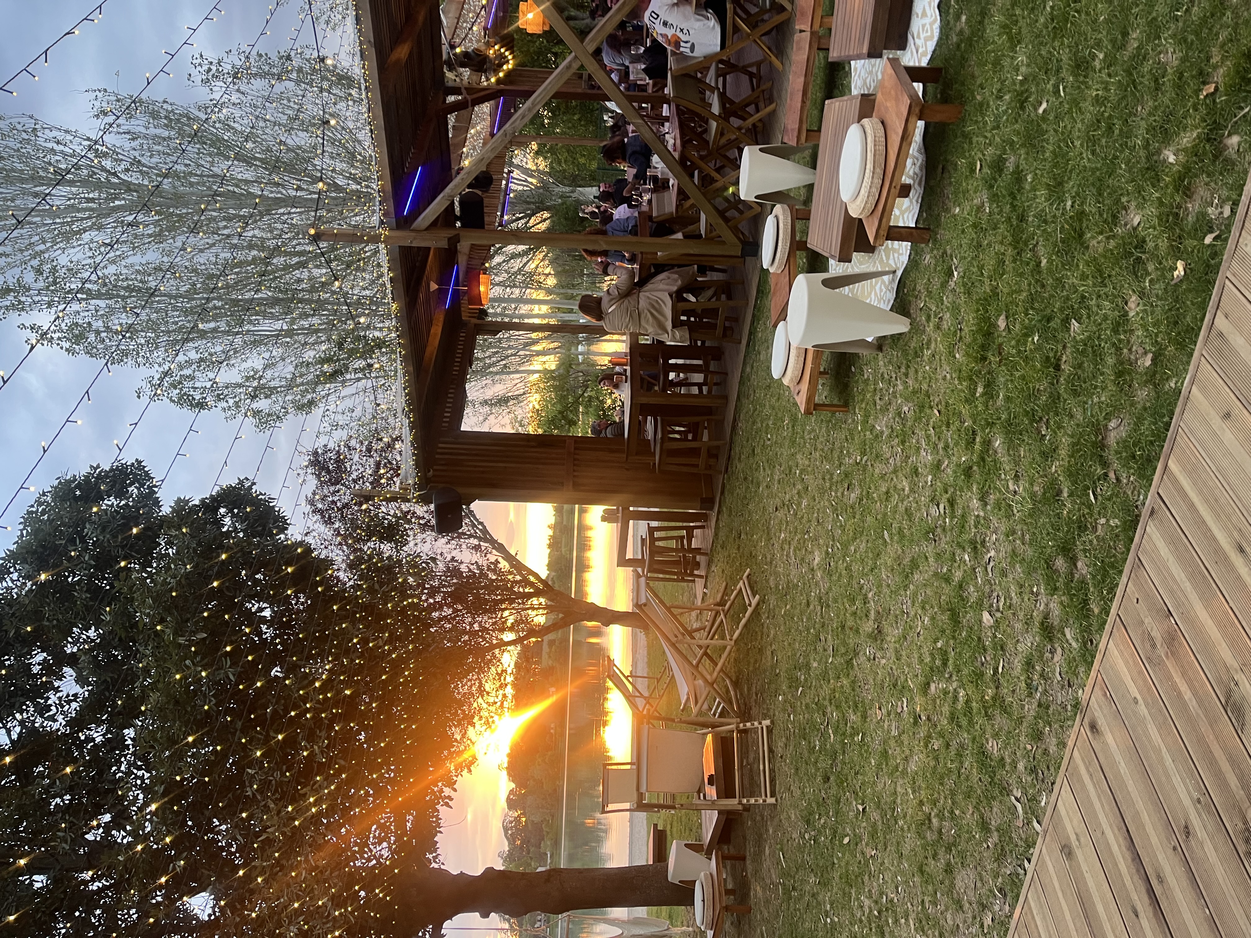 IMG_1313.jpeg
