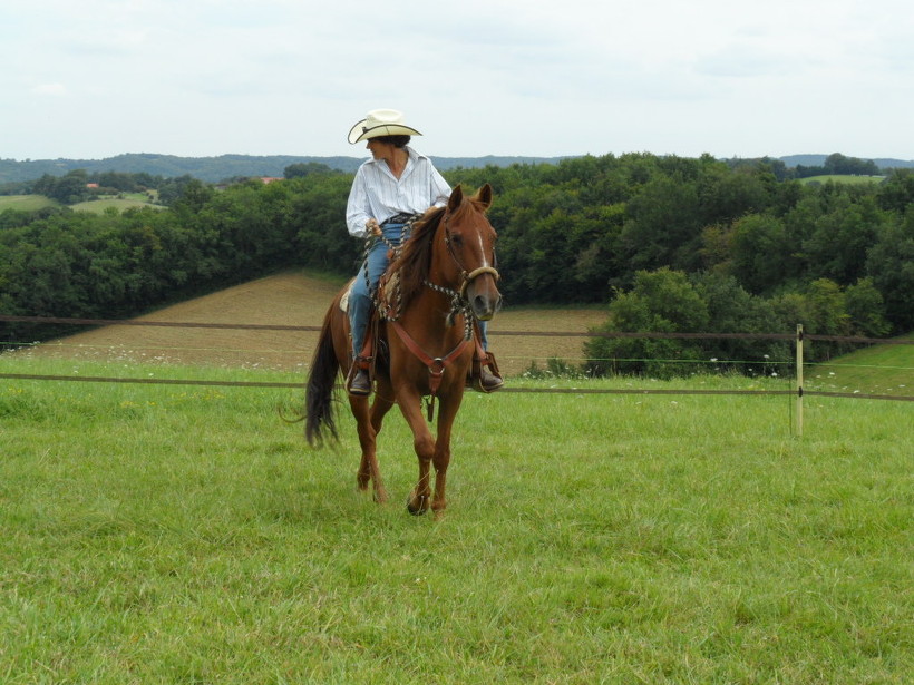 cavalière-western-et-cheval-en-bosal.jpg