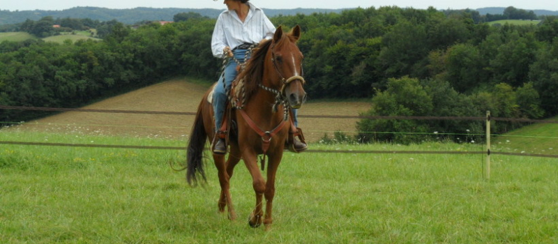 Pouylebon -Equitation Western