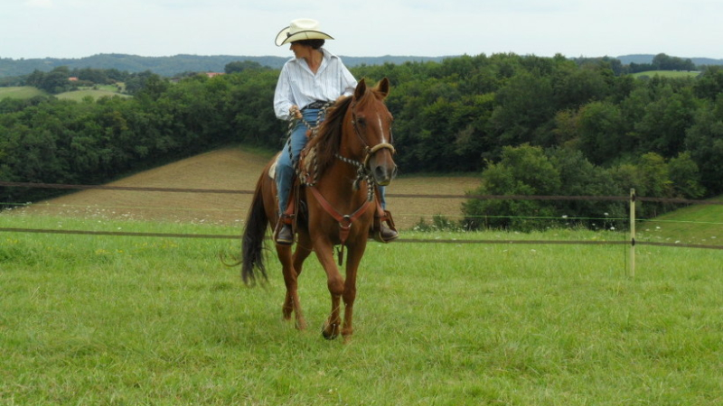Pouylebon -Equitation Western