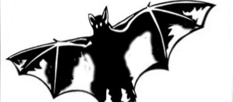 Mirande - LA CHAUVE-SOURIS NOTRE ALLIEE