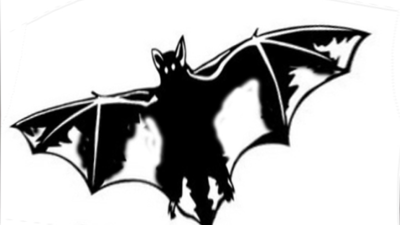 Mirande - LA CHAUVE-SOURIS NOTRE ALLIEE