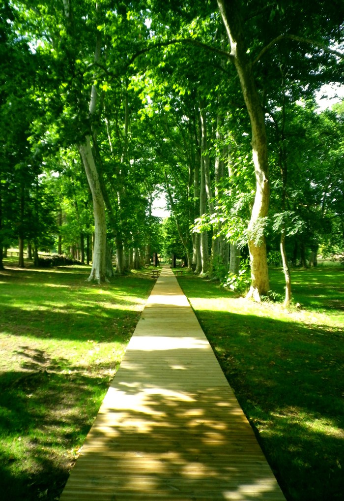 imgp0047.jpg