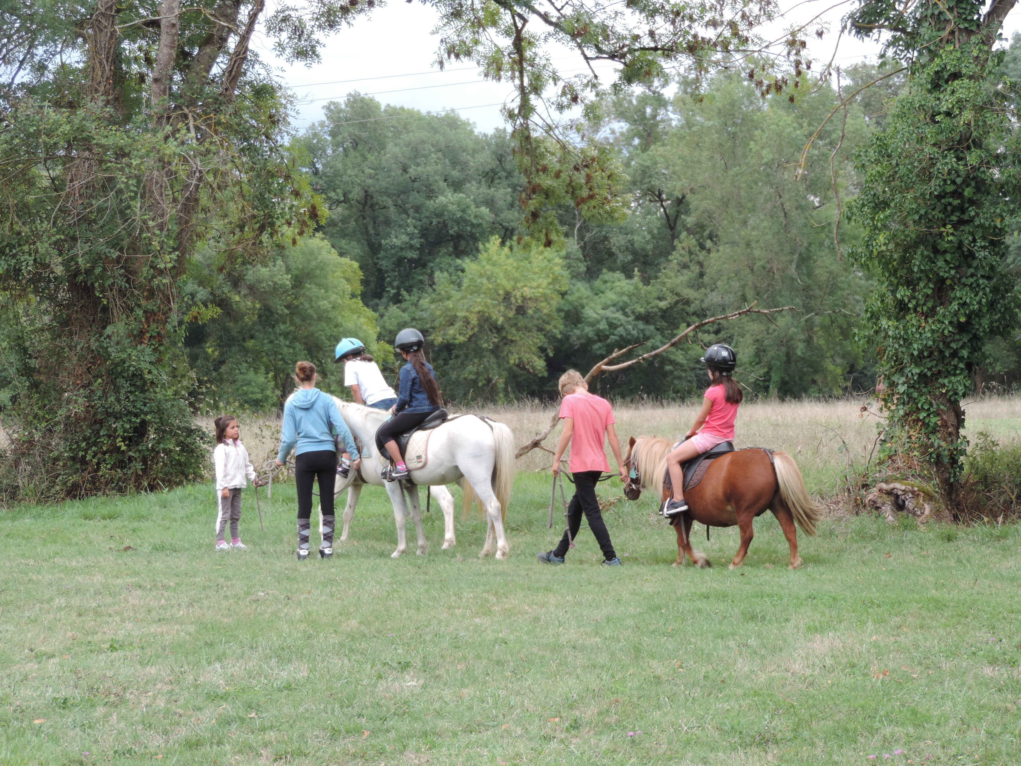 DSCN3987.JPG