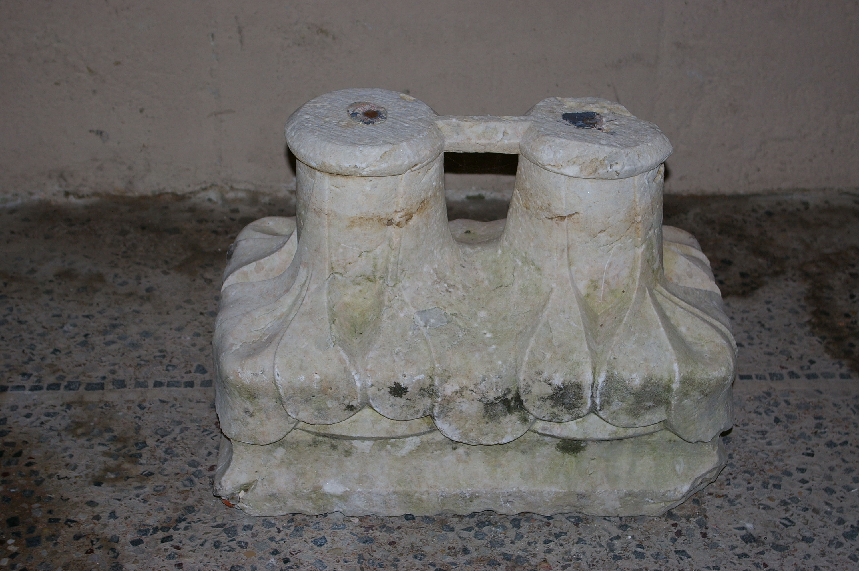 IMGP3145.JPG