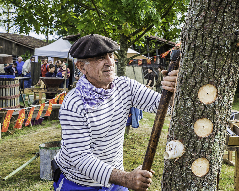 Gemmeur en action 1ter 190915.jpg